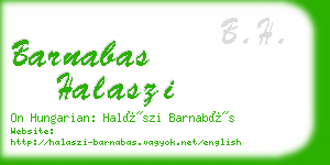 barnabas halaszi business card